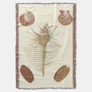 Manta Tejida Cinco de Seashells buenos