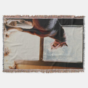 Manta Tejida Clydesdale