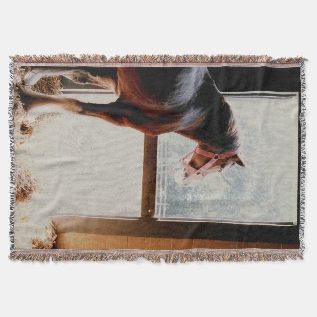 Manta Tejida Clydesdale (Anverso)