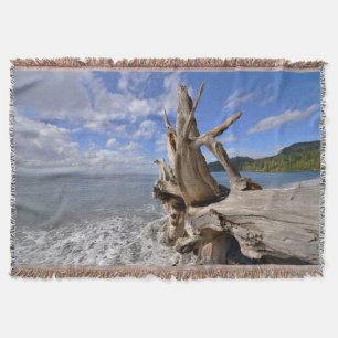Manta Tejida Driftwood en la línea de la playa de la playa