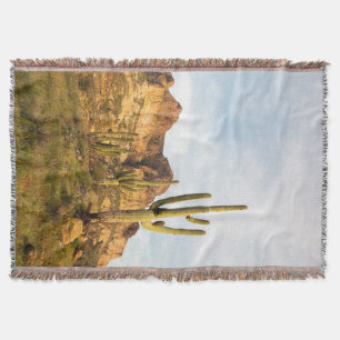 Manta Tejida EE. UU., Arizona, Bosque Nacional Tonto, Picketpos