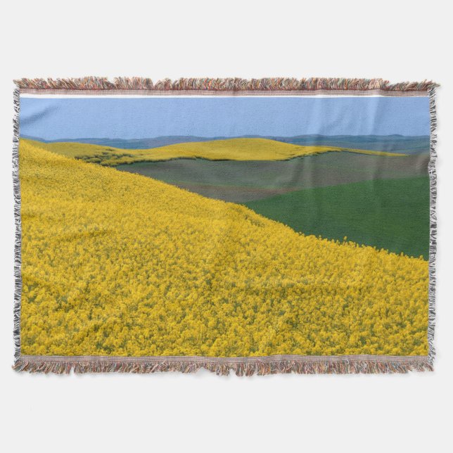 Manta Tejida EE.UU., Washington, Condado de Whitman, Palouse, C (Anverso)