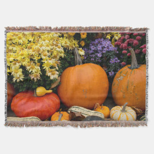 Manta Tejida Exposición de calabazas decorativas de otoño color