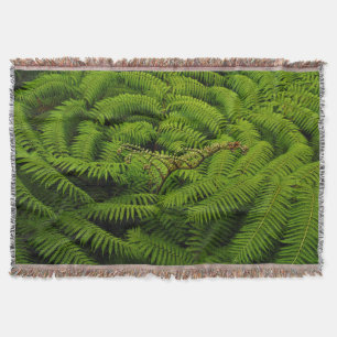 Manta Tejida Ferns - Fotografía Bella Artes