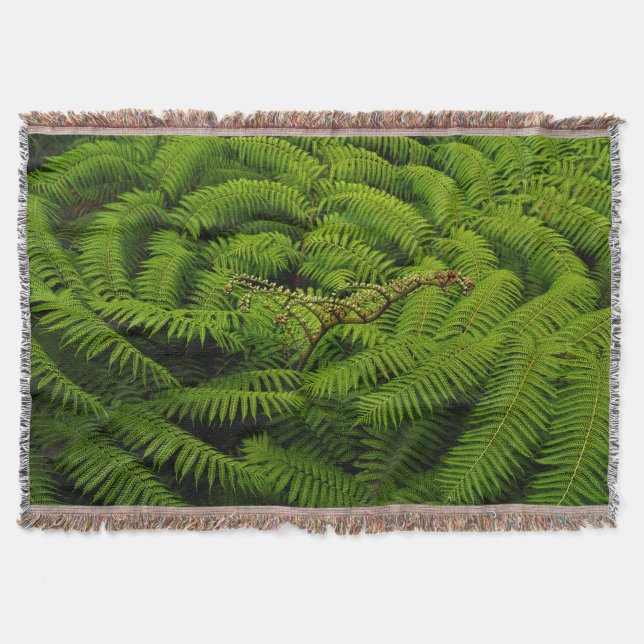 Manta Tejida Ferns - Fotografía Bella Artes (Anverso)