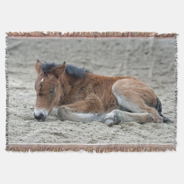 Manta Tejida Foal 2014-0901 (Anverso)
