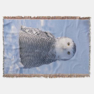 Manta Tejida Foto De Bechuza De Nieve Cuta En El Ártico Diseñad
