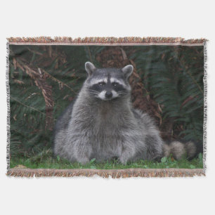 Manta Tejida Foto de vida silvestre de Cute Forest Raccoon