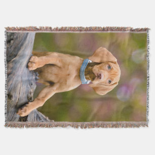 Manta Tejida Fotografía de un perro tímido húngaro de Vizsla