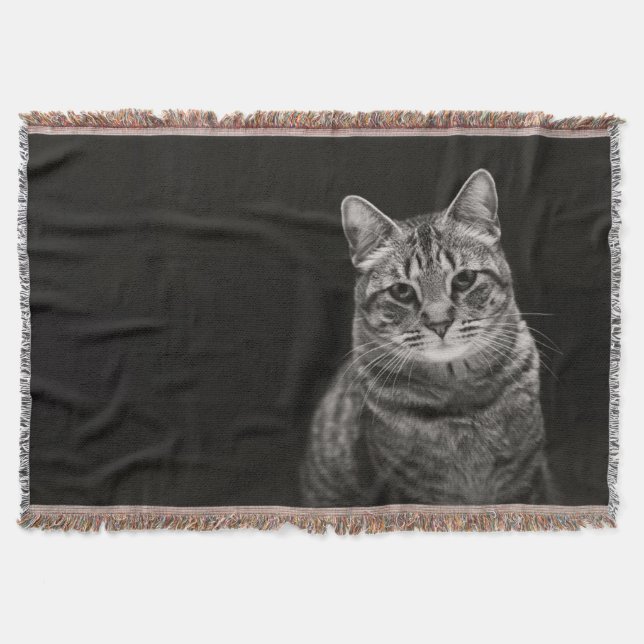 Manta Tejida Gatito negro del Tabby (Anverso)