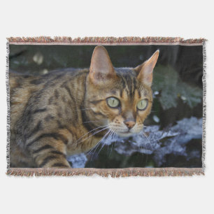 Manta Tejida Gato de Bengala