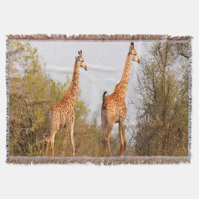 Manta Tejida Giraffe Pair (Anverso)