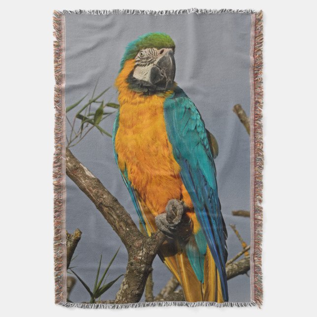 Manta Tejida Goldie Blue Throw Blanket (Frente vertical)