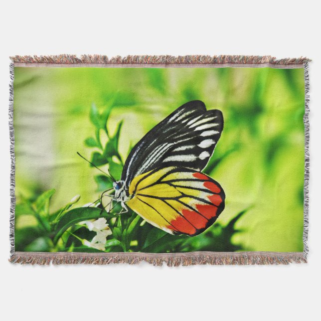 Manta Tejida Hermosa mariposa en las flores (Anverso)
