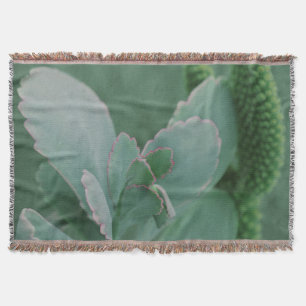 Manta Tejida Hermosa Planta Desierta Fotografía de Arte