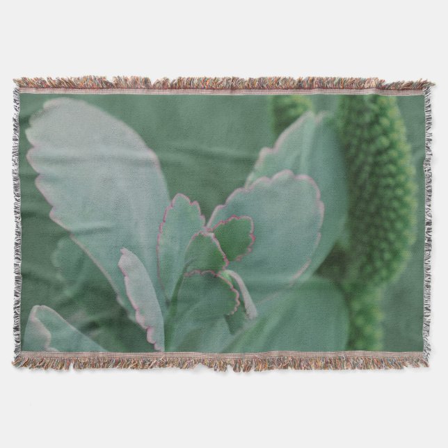 Manta Tejida Hermosa Planta Desierta Fotografía de Arte (Anverso)