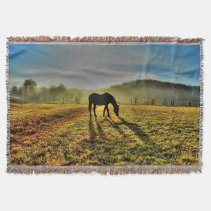 Manta Tejida Horse de moda al amanecer en una foto de campo oxi