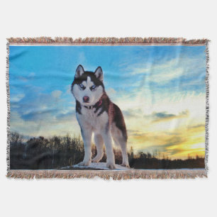 Manta Tejida Husky siberiano