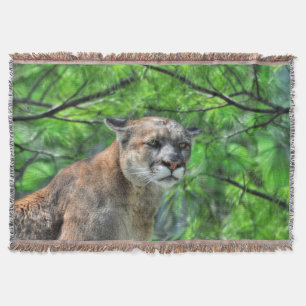 Manta Tejida Imagen de vida silvestre de Cougar Mountain Lion &