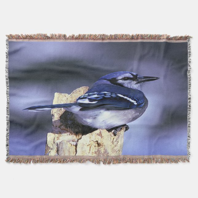 Manta Tejida Jay azul (Anverso)