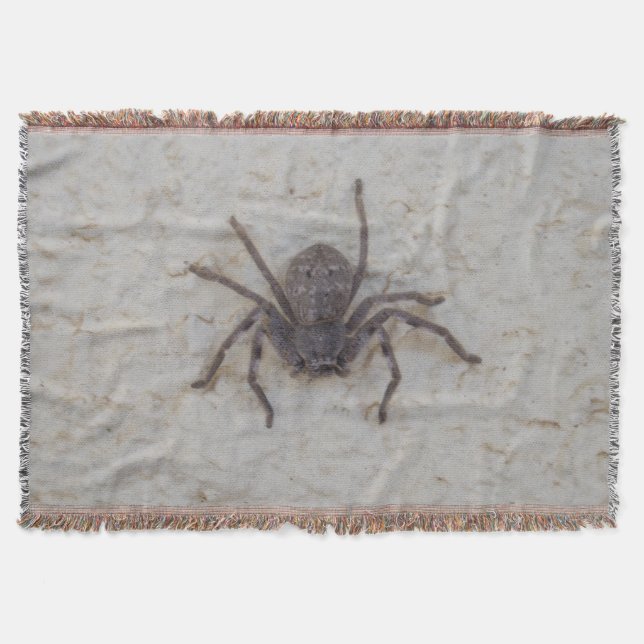 Manta Tejida La gran araña cazadora femenina, (Anverso)