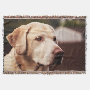 Manta Tejida Labrador Retriever