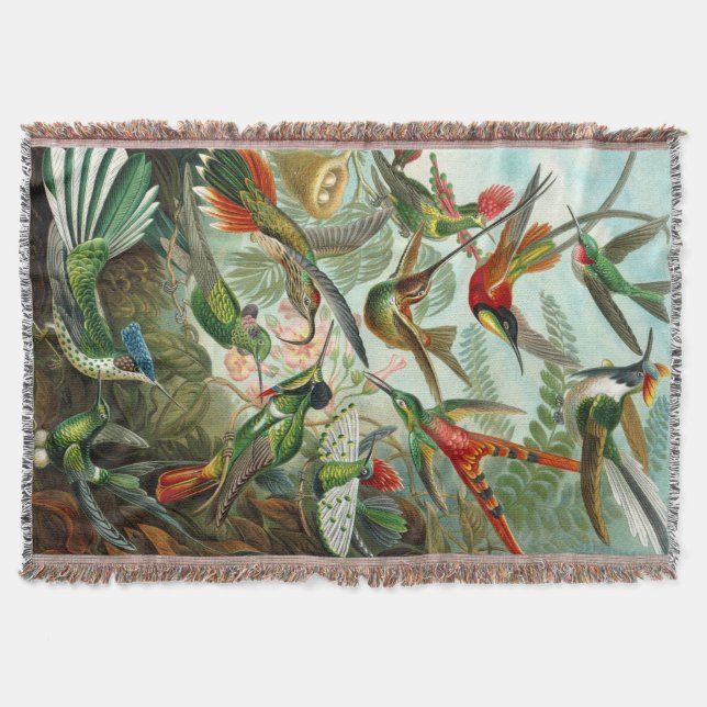 Manta Tejida Los hermosos colibríes de Ernst Haeckel (Anverso)