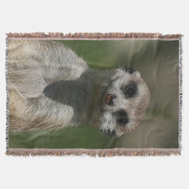 Manta Tejida Meerkat 004 (Anverso)