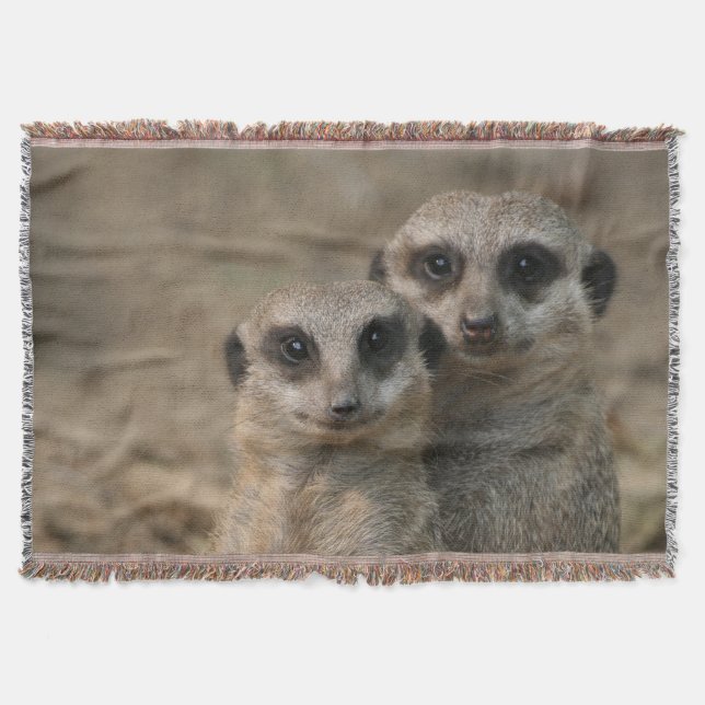 Manta Tejida Meerkat 090 (Anverso)