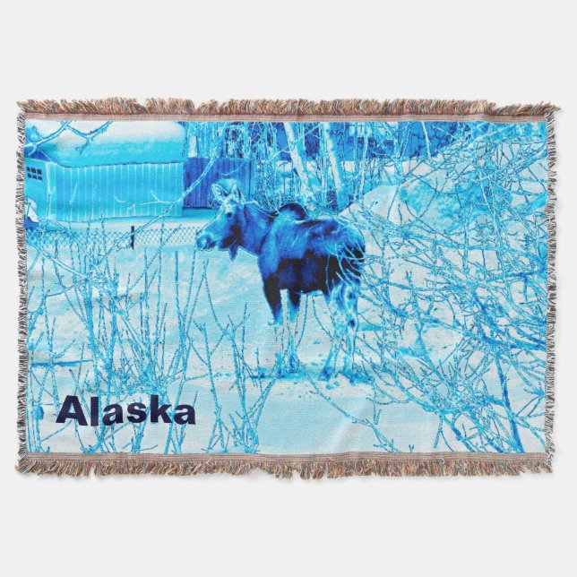 Manta Tejida Moose urbano (Anverso)