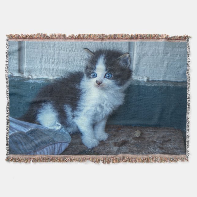 Manta Tejida Negro + Gatito Blanco (Anverso)