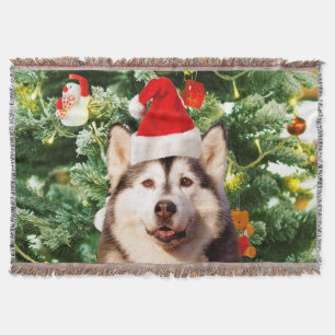 Manta Tejida Ornamento de árbol de navidad siberiano Husky Snow