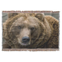 Oso de Brown