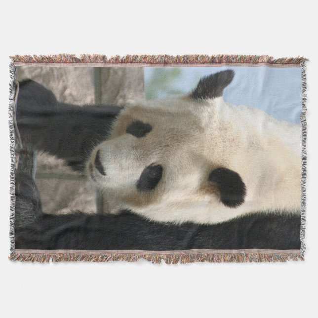 Manta Tejida Panda20170506_by_JAMFoto (Anverso)