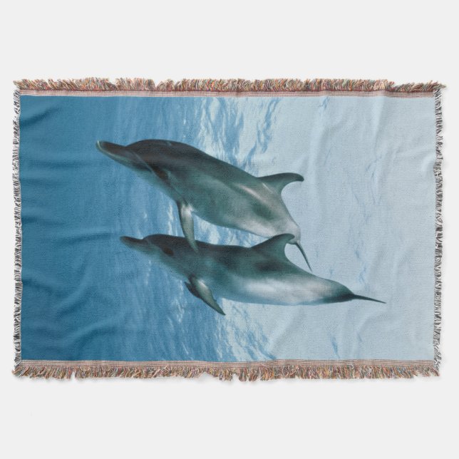 Manta Tejida Pareja de delfines (Anverso)