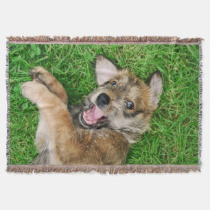 Manta Tejida Perrito de risa de Berger Picard del perro, cómod