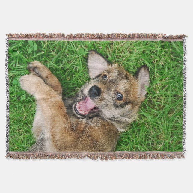 Manta Tejida Perrito de risa de Berger Picard del perro, cómodo (Anverso)