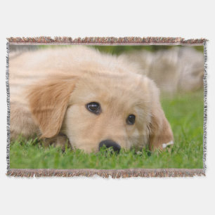 Manta Tejida Perrito lindo del perro del golden retriever que