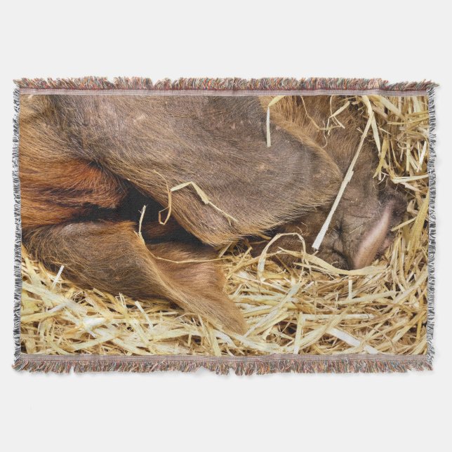 MANTA TEJIDA PIGS (Anverso)