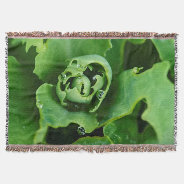 Manta Tejida Planta suculenta con gotitas de agua (Anverso)