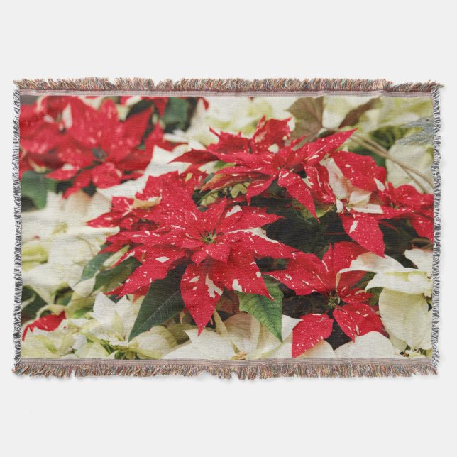 Manta Tejida Poinsettias florales blancas rojas festivas (Anverso)