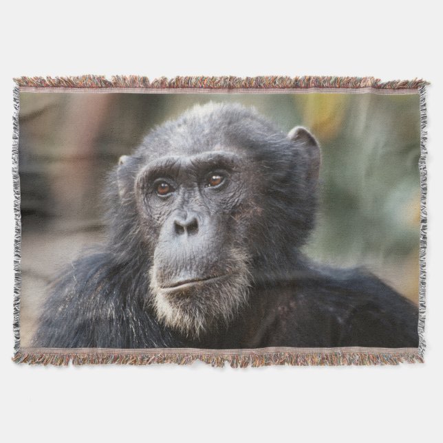 Manta Tejida Primer plano de chimpancé macho (Anverso)