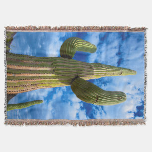 Manta Tejida retrato de cactus Saguaro, Arizona