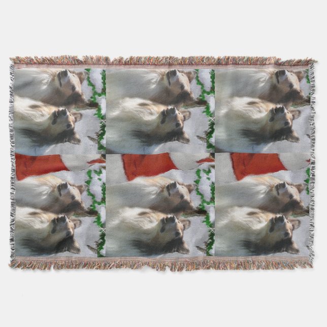 Manta Tejida Rough Collies Conoce a Santa Navidades (Anverso)