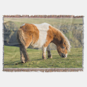 Manta Tejida Shetland Pony en Pastizal Cerca de Acantilados Alt