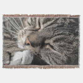 Manta Tejida Sleeping Tabby