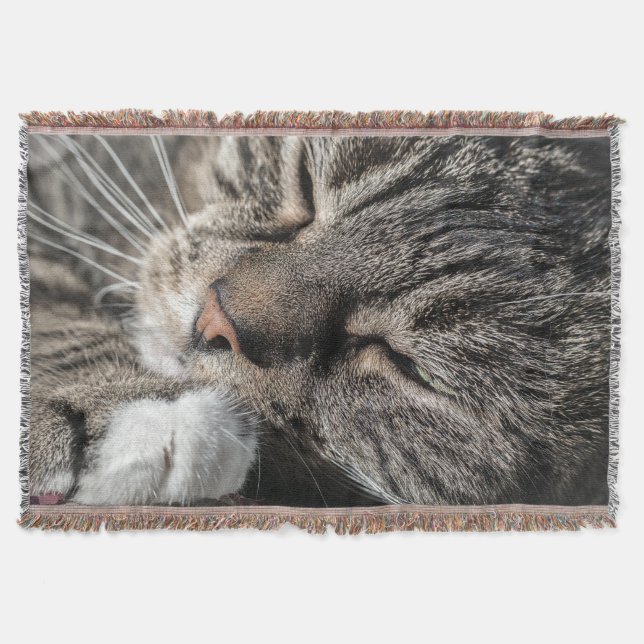 Manta Tejida Sleeping Tabby (Anverso)