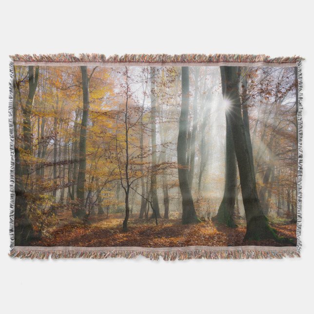 Manta Tejida Sun Rays Mystic Misty Forest Blanket (Anverso)
