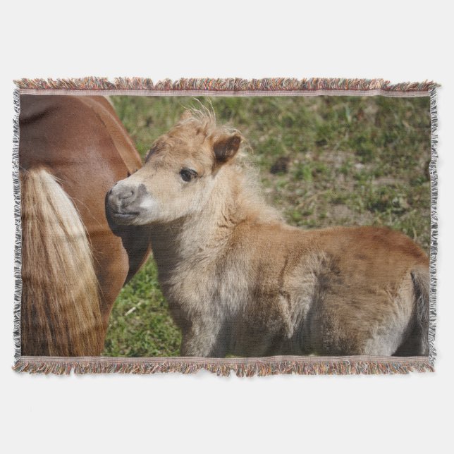 Manta Tejida Sweet Haflinger Foal (Anverso)