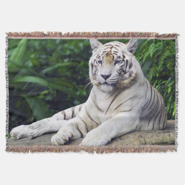 Manta Tejida Tigre blanco 1 funda de lanzamiento (Anverso)